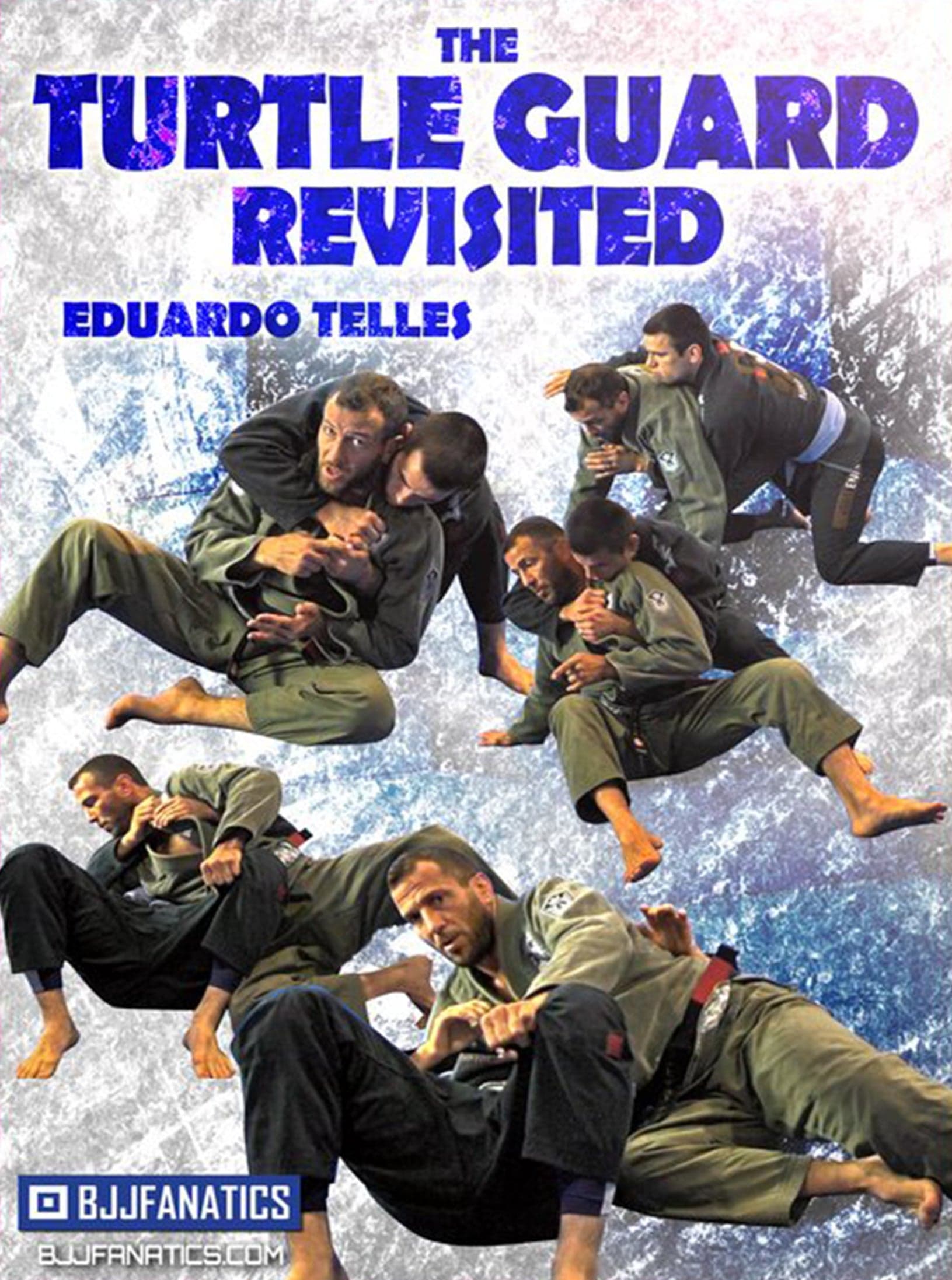 The Turtle Guard Revisited by Eduardo Telles