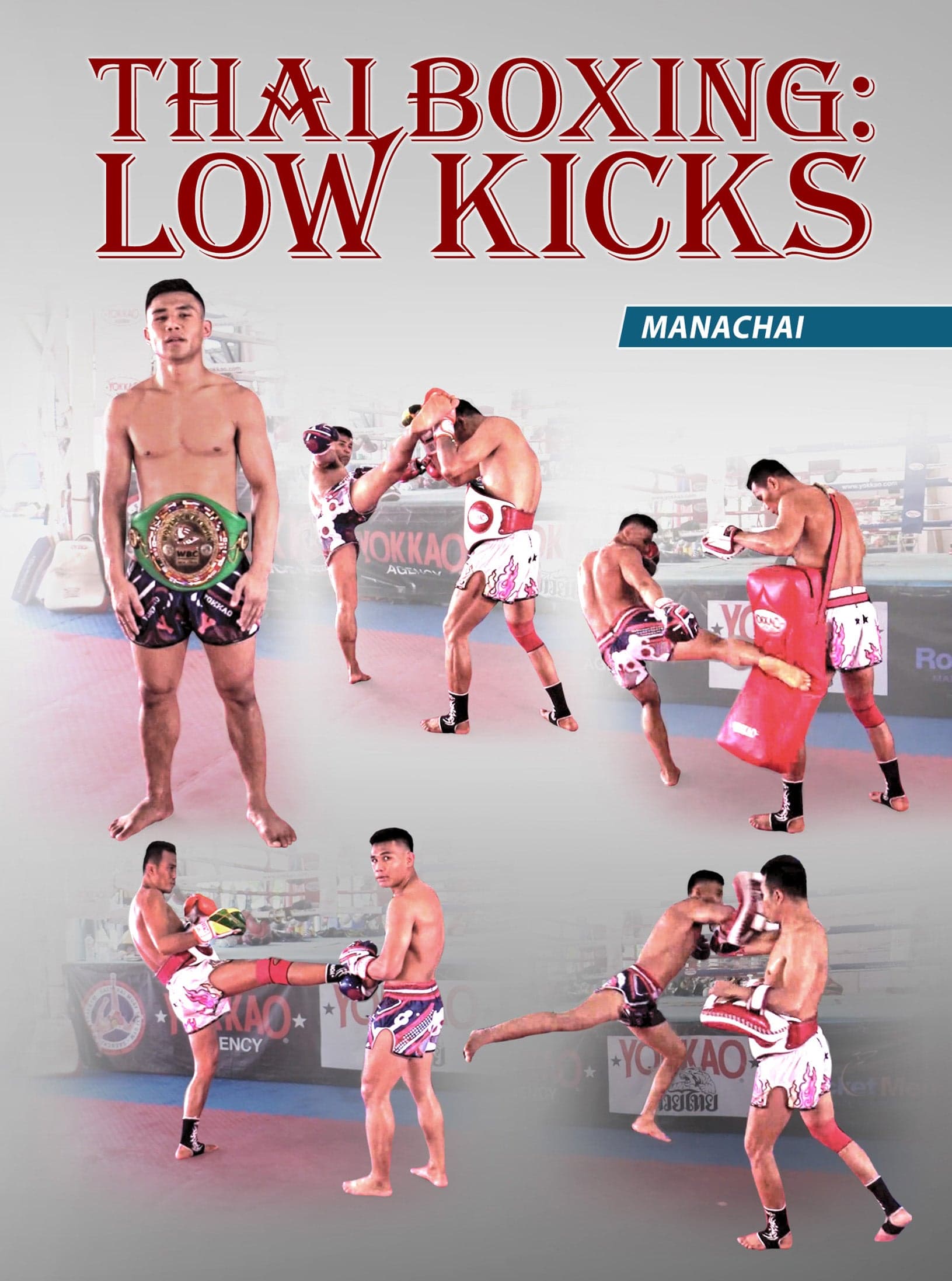 Thai Boxing Low Kicks by Manachai
