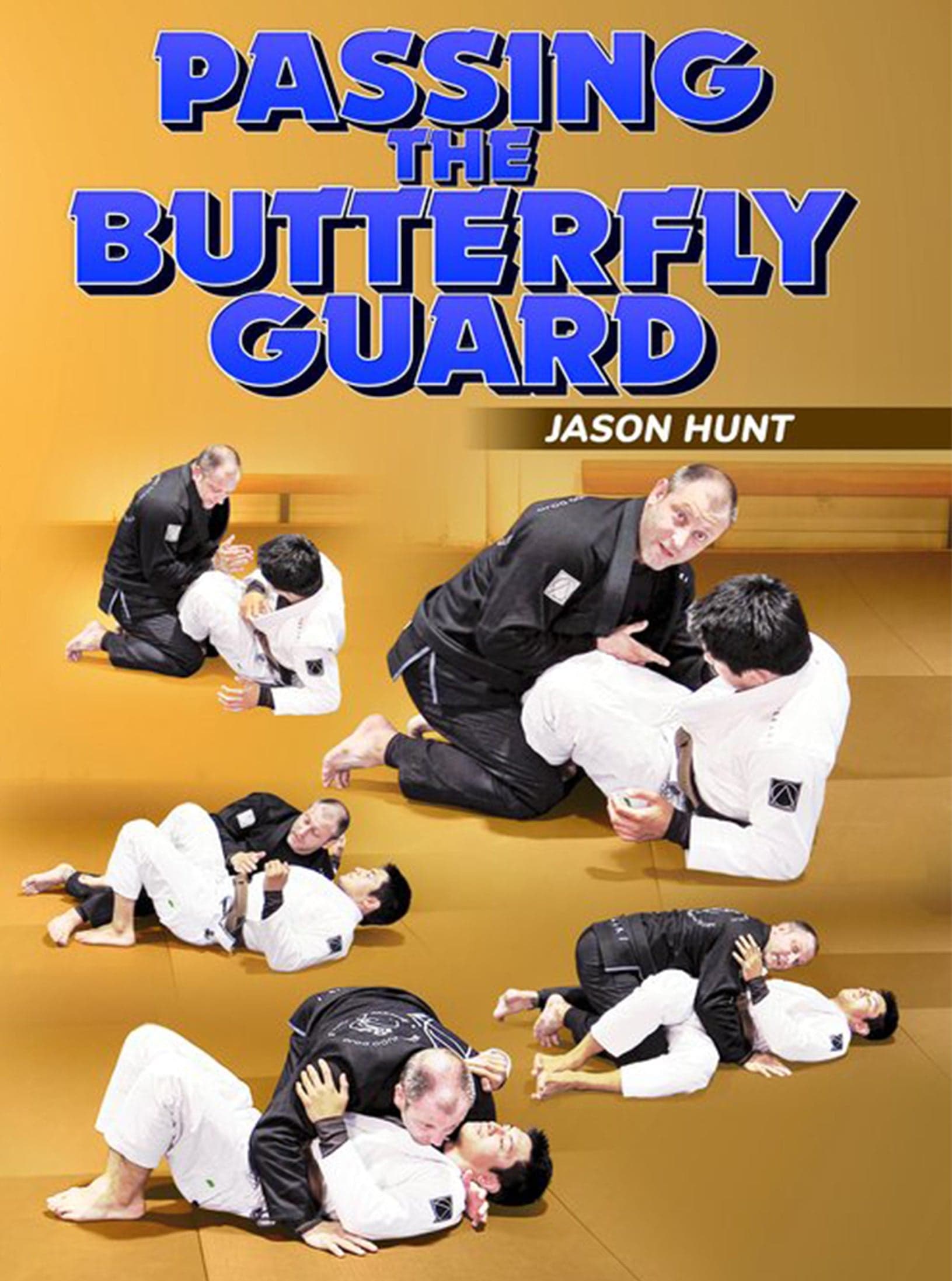 Passing The Butterfly Guard by Jason Hunt