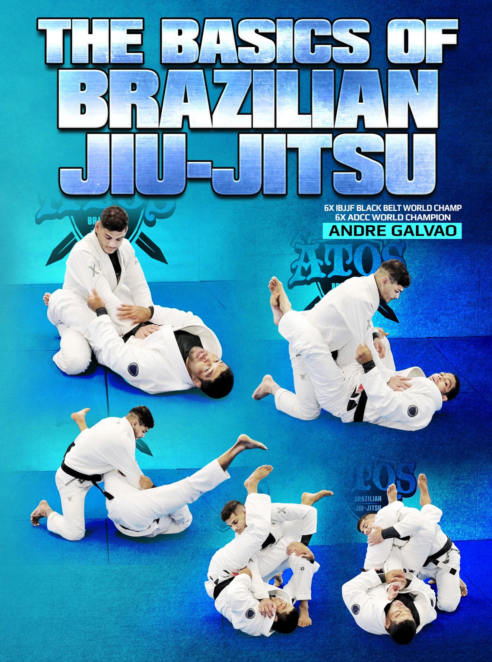 The Basics of Brazilian Jiu Jitsu by Andre Galvao