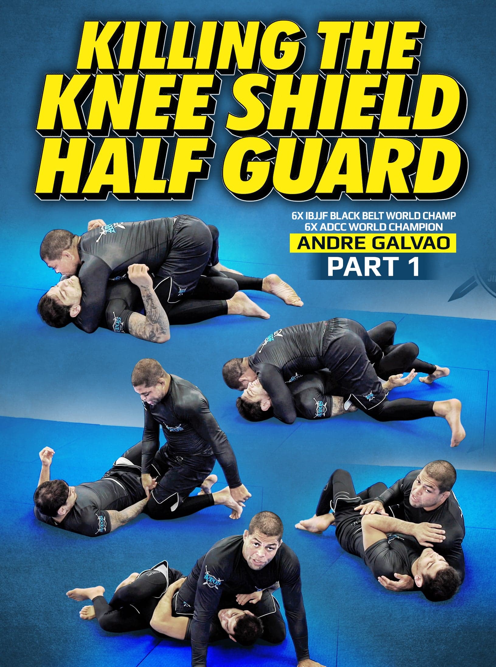 Killing The Knee Shield Half Guard by Andre Galvao