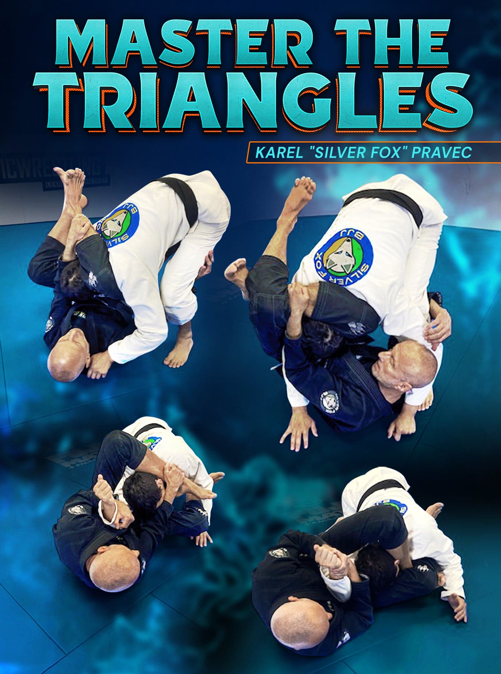 Master The Triangles by Karel "Silver Fox" Pravec