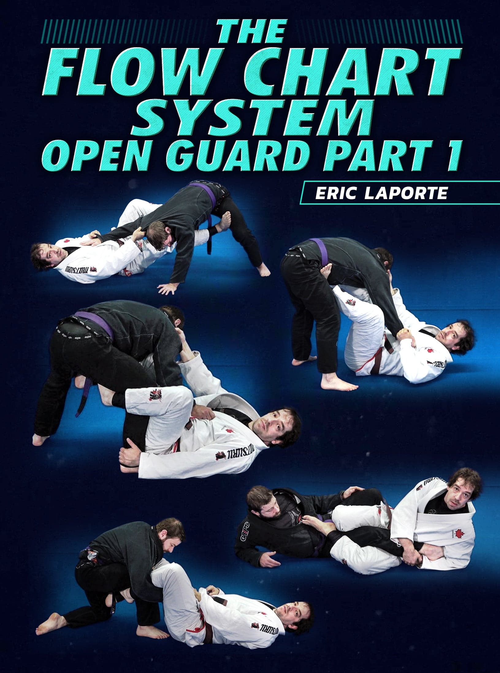 The Flow Chart System Open Guard Part 1 by Eric Laporte