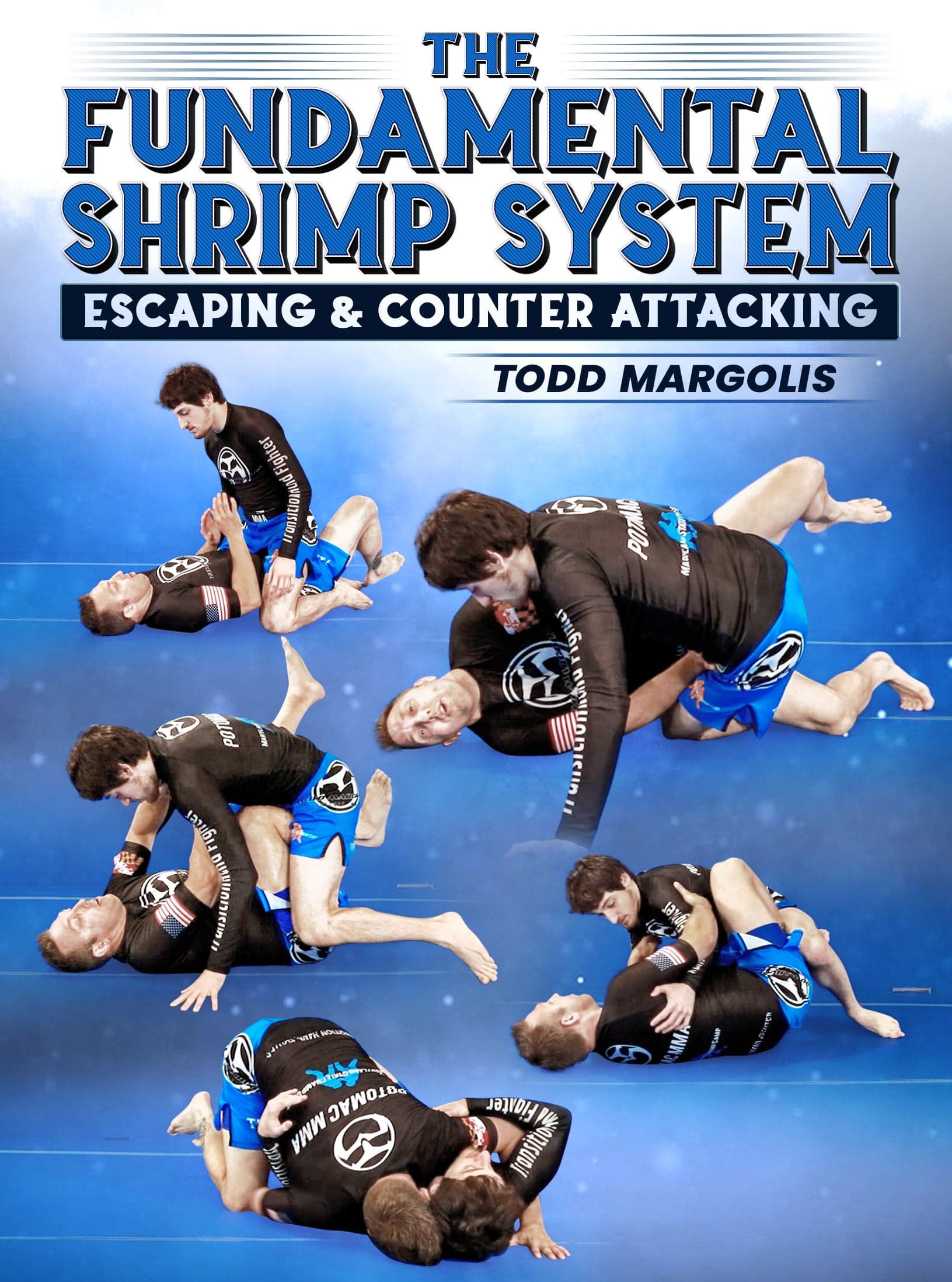 The Fundamental Shrimp System by Todd Margolis
