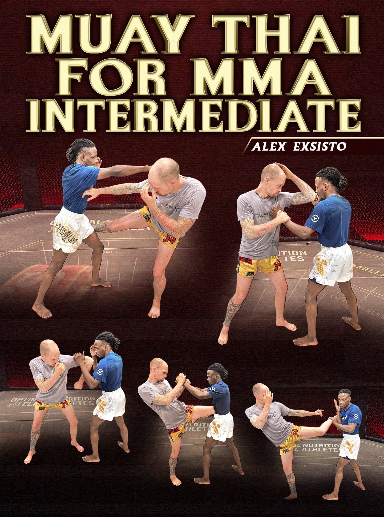 Muay Thai For MMA Intermediate by Alex Exsisto