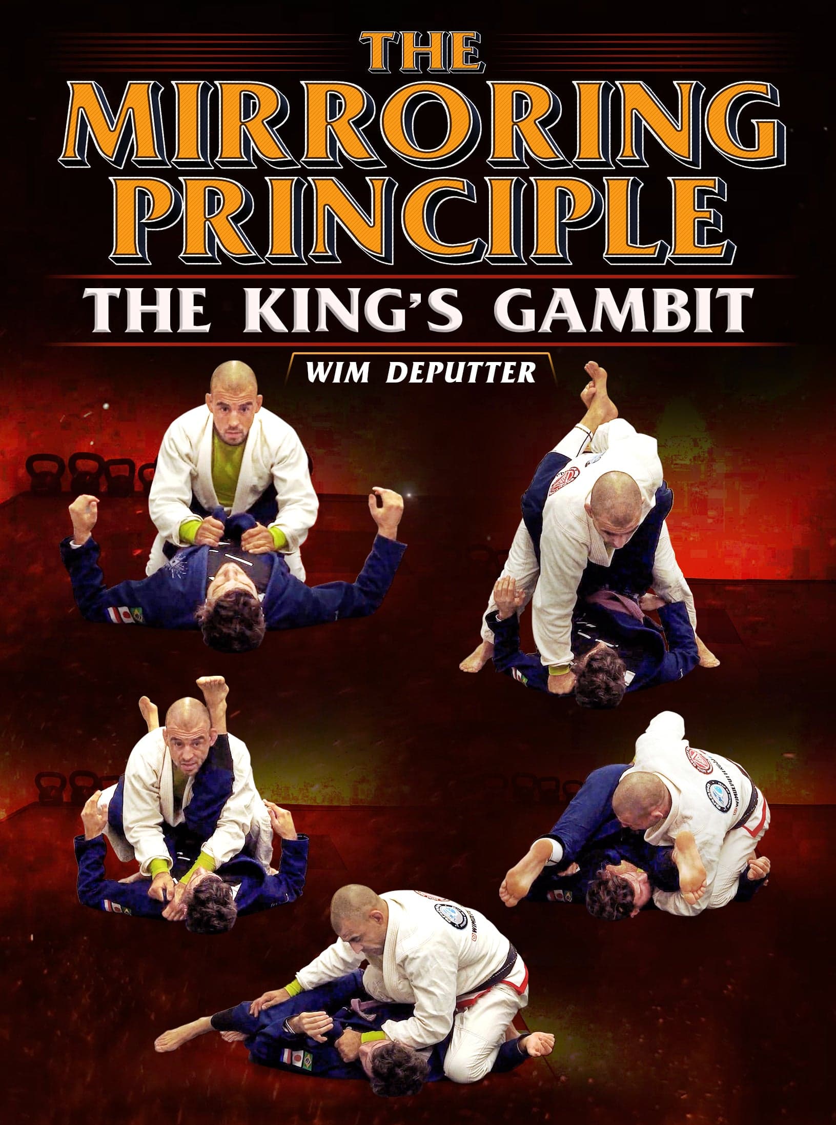 The Mirroring Principle: The Kings Gambit by Wim Deputter