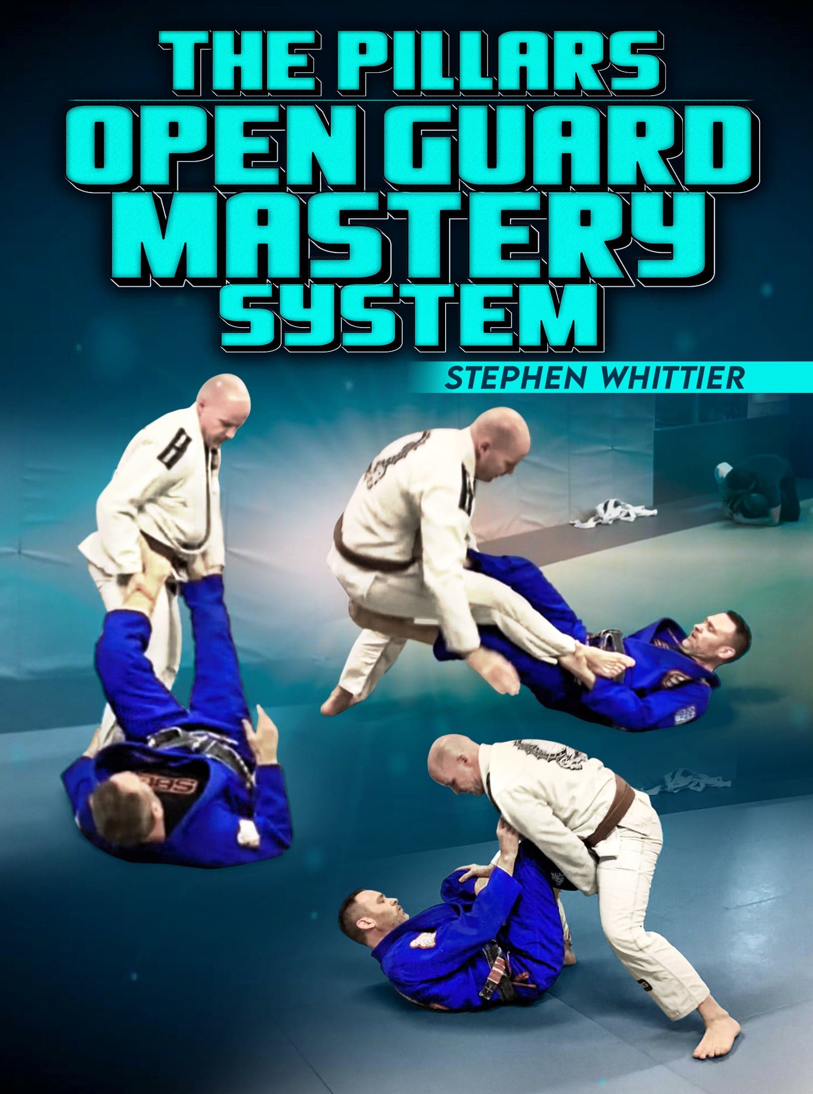 The Pillars: Open Guard Mastery System by Stephen Whittier