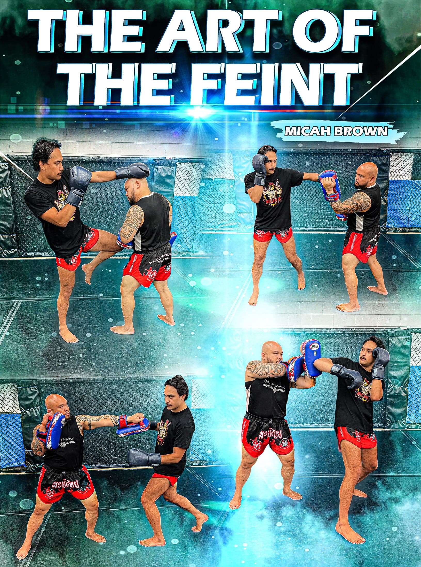 The Art of The Feint by Micah Brown