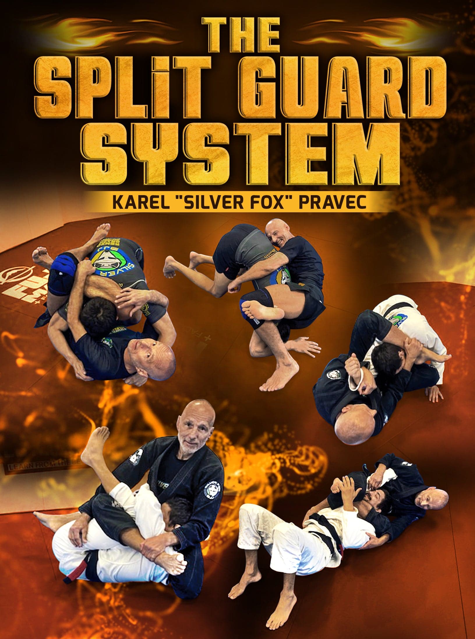 The Split Guard System by Karel "Silver Fox" Pravec