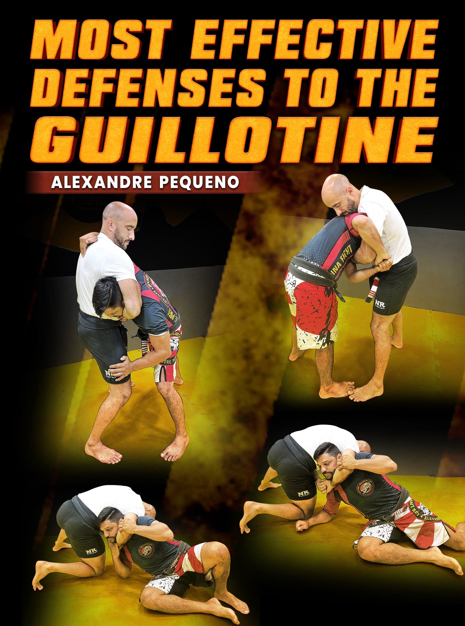 Most Effective Defenses To The Guillotine by Alexandre Pequeno