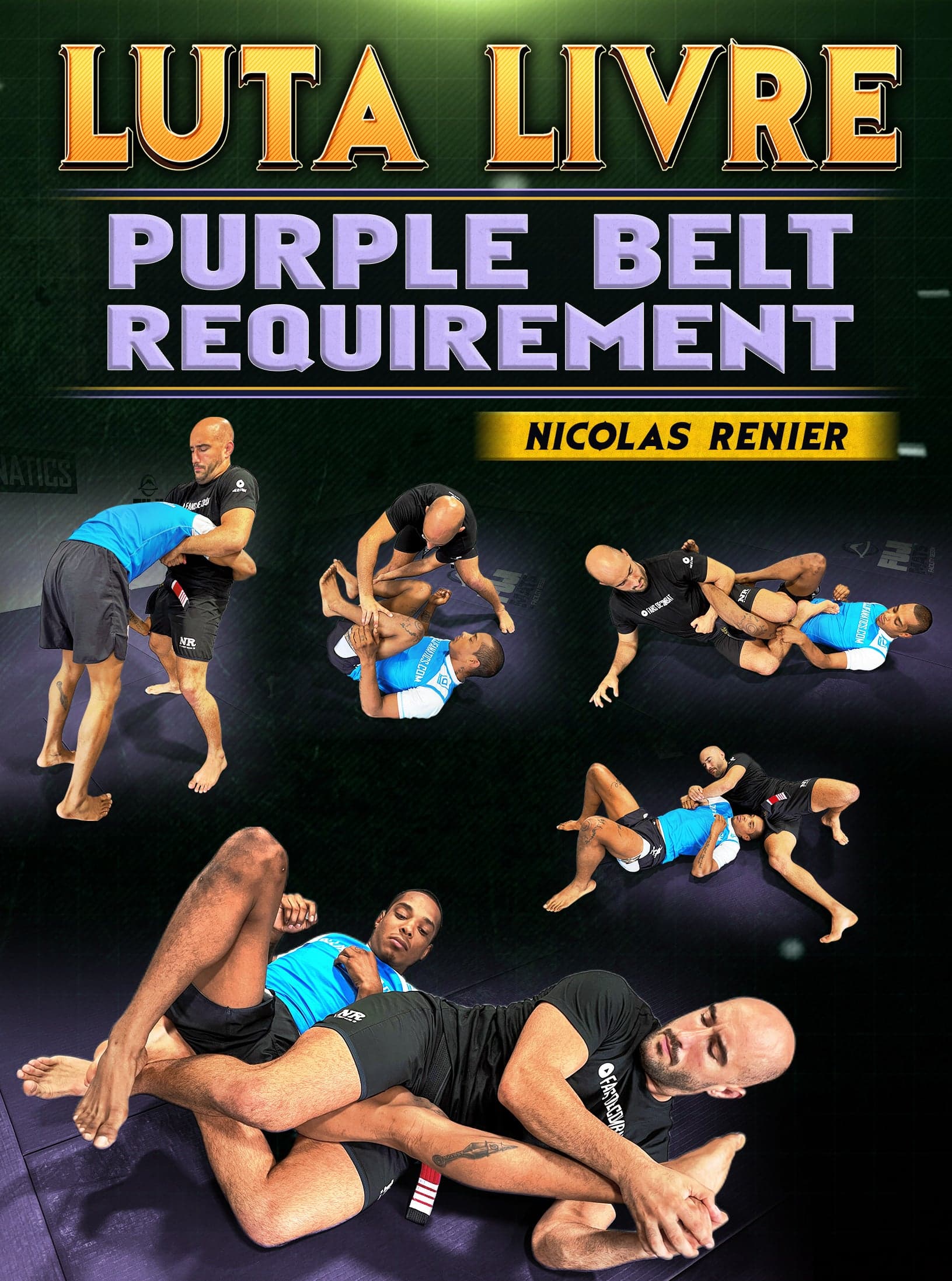 Luta Livre: Purple Belt Requirement by Nicolas Renier