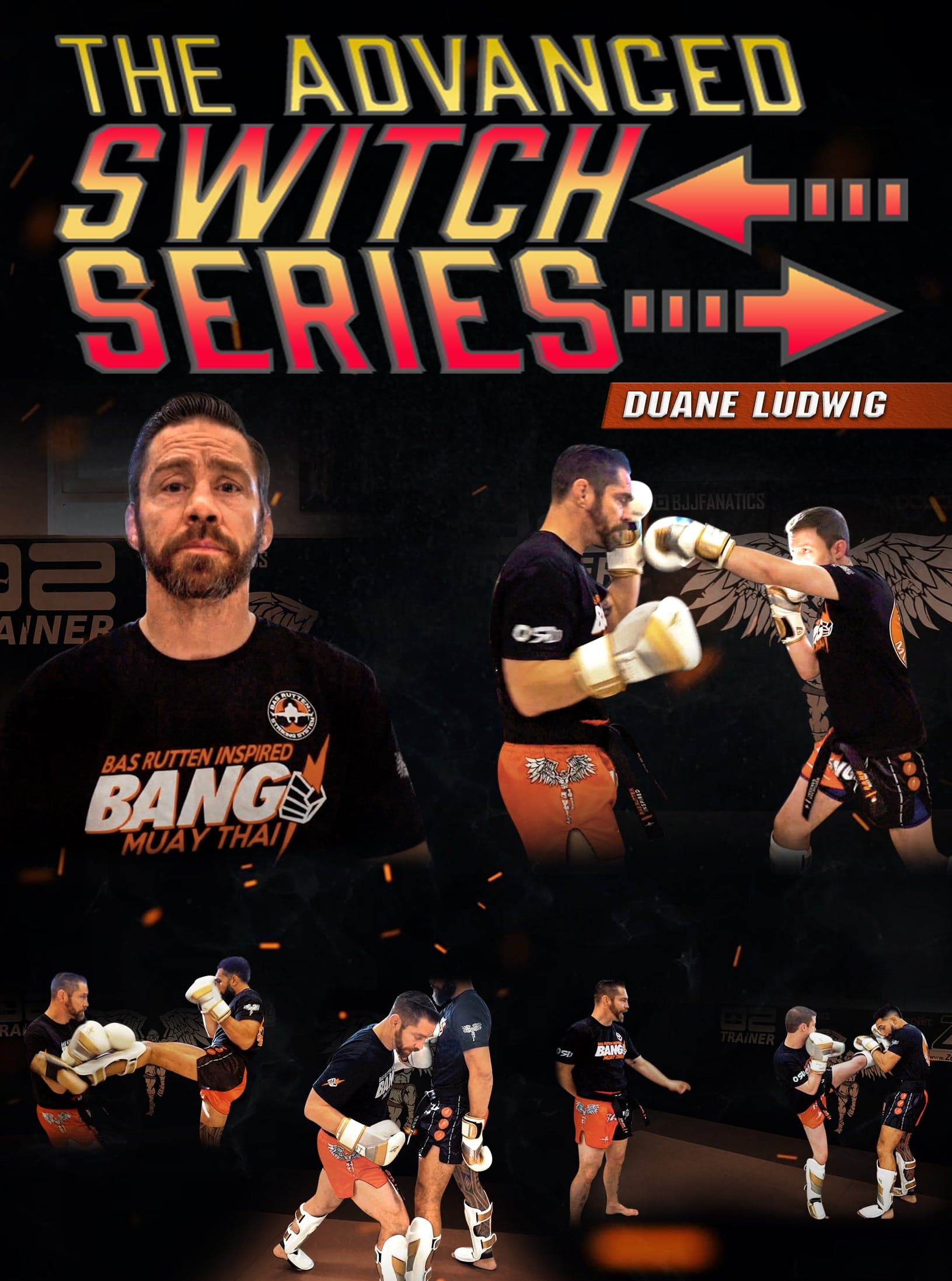 The Advanced Switch Series by Duane Ludwig