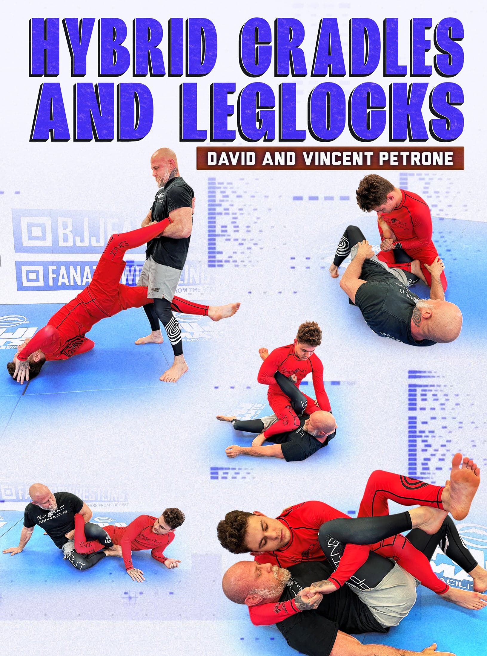 Hybrid Cradles and Leg Locks by David and Vince Petrone