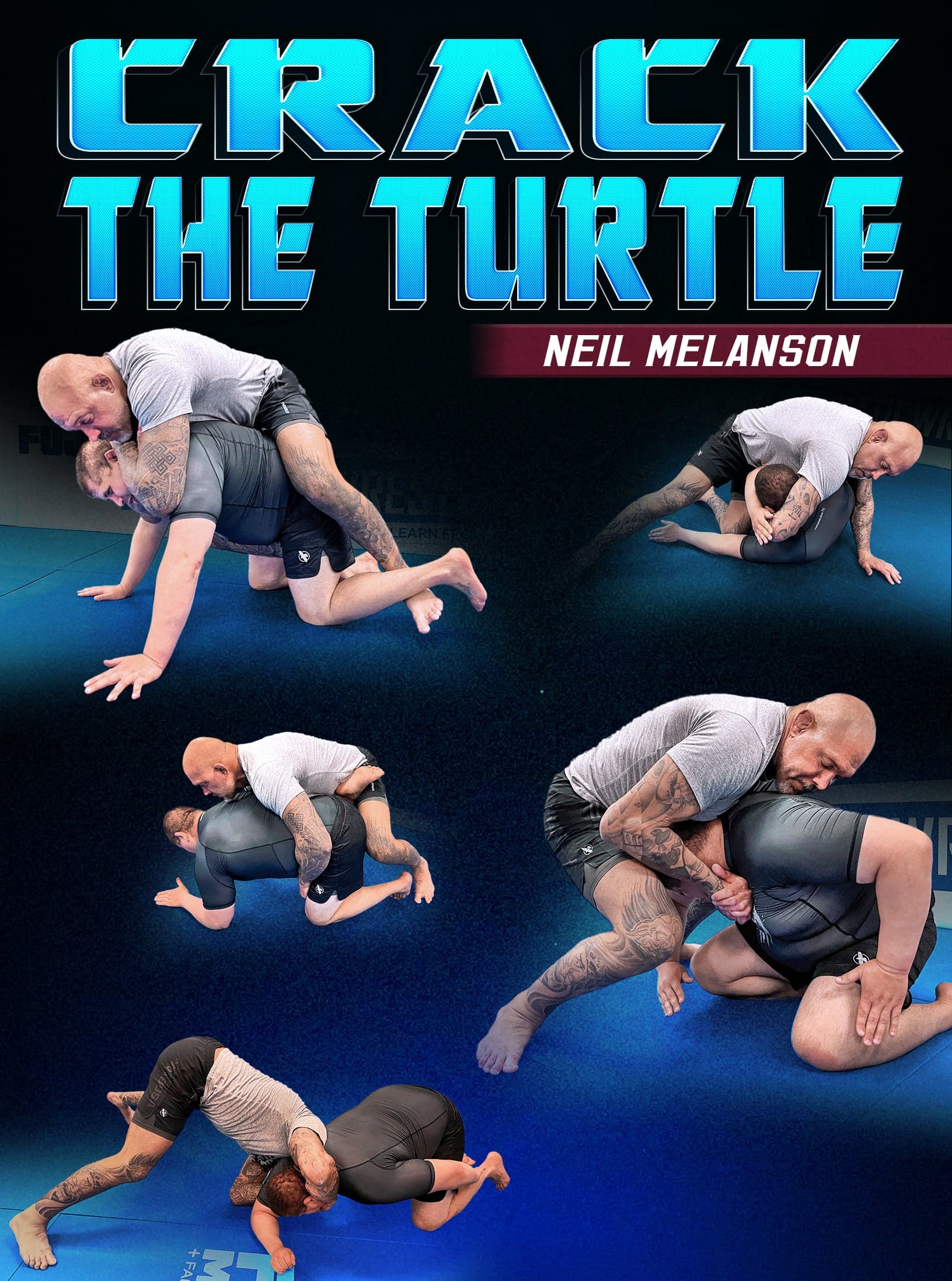 Crack The Turtle by Neil Melanson