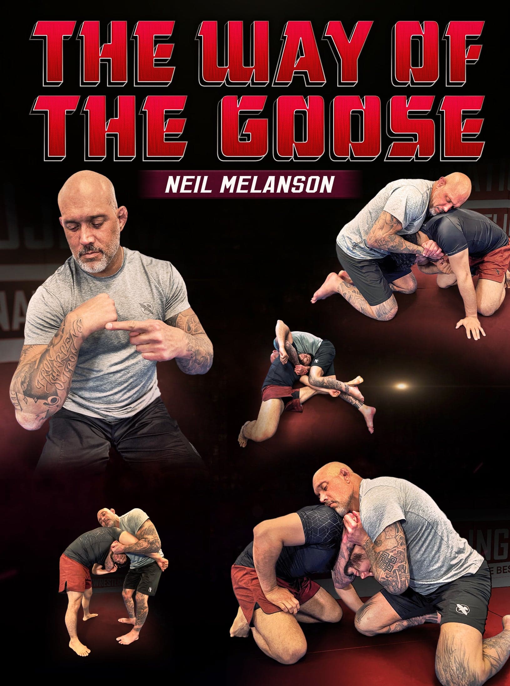 The Way of The Goose by Neil Melanson