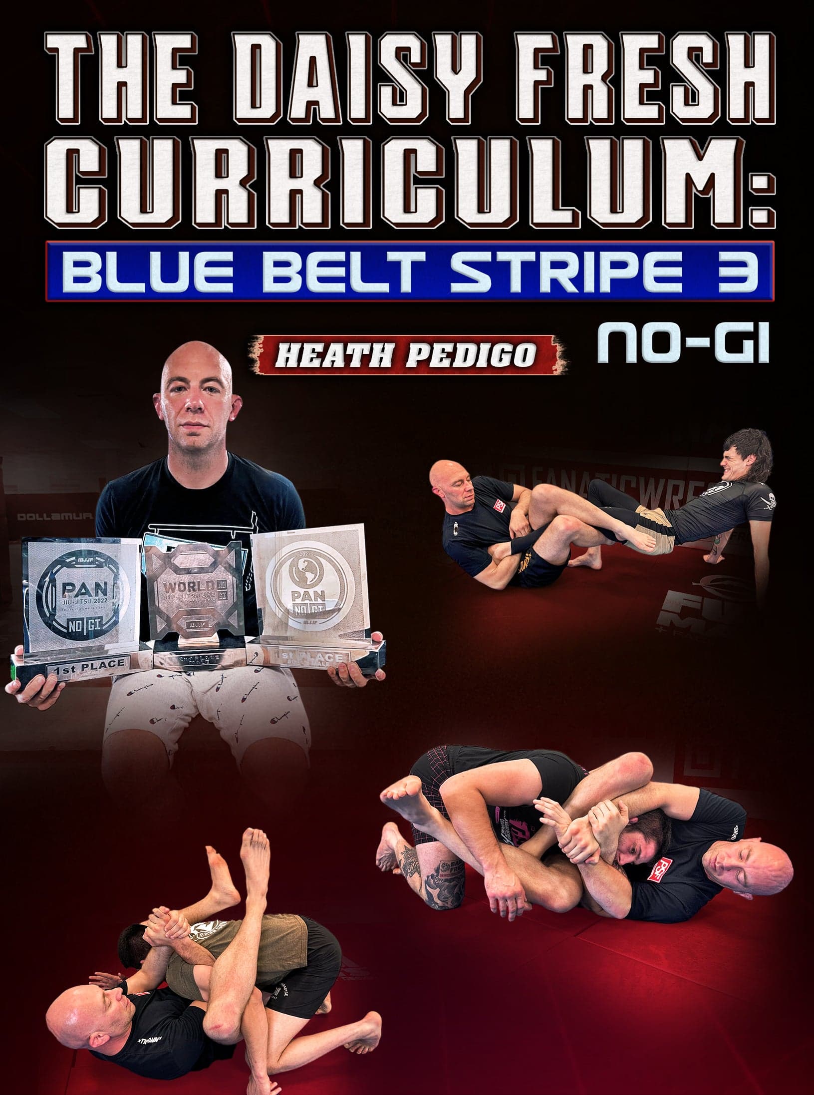The Daisy Fresh Curriculum: Blue Belt No Gi Stripe 3 by Heath Pedigo