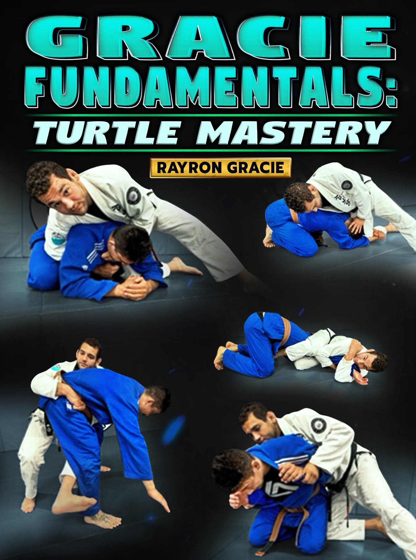 Gracie Fundamentals: Turtle Mastery by Rayron Gracie