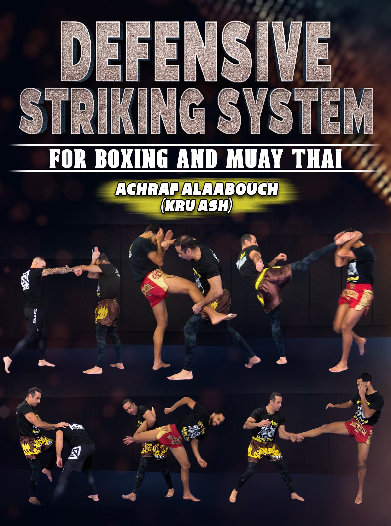 Defensive Striking System: For Boxing and Muay Thai by Achraf Alaabouch