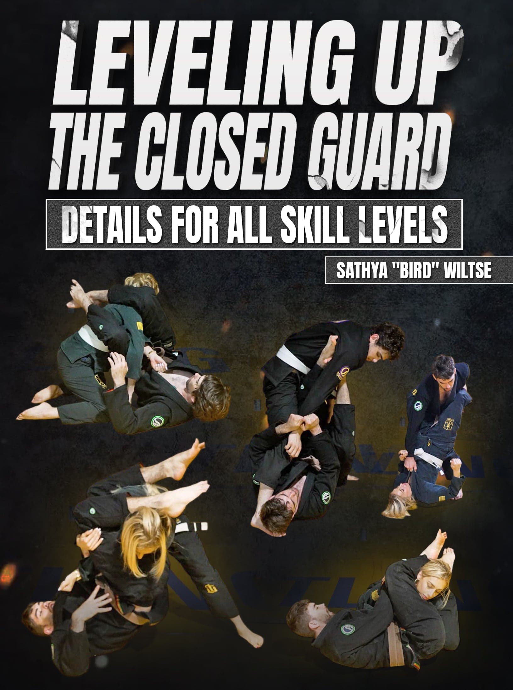 Leveling Up The Closed Guard by Sathya Bird Wiltse