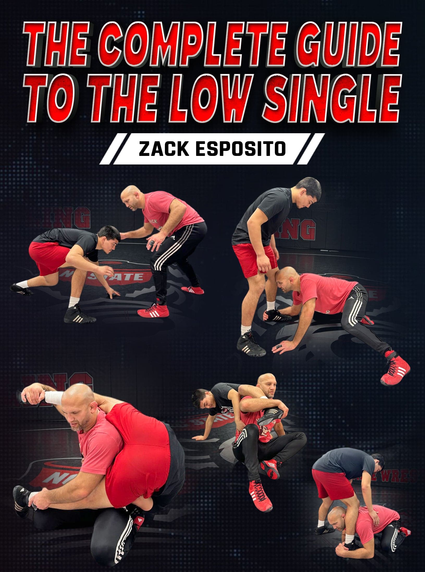 The Complete Guide to the Low Single by Zack Esposito