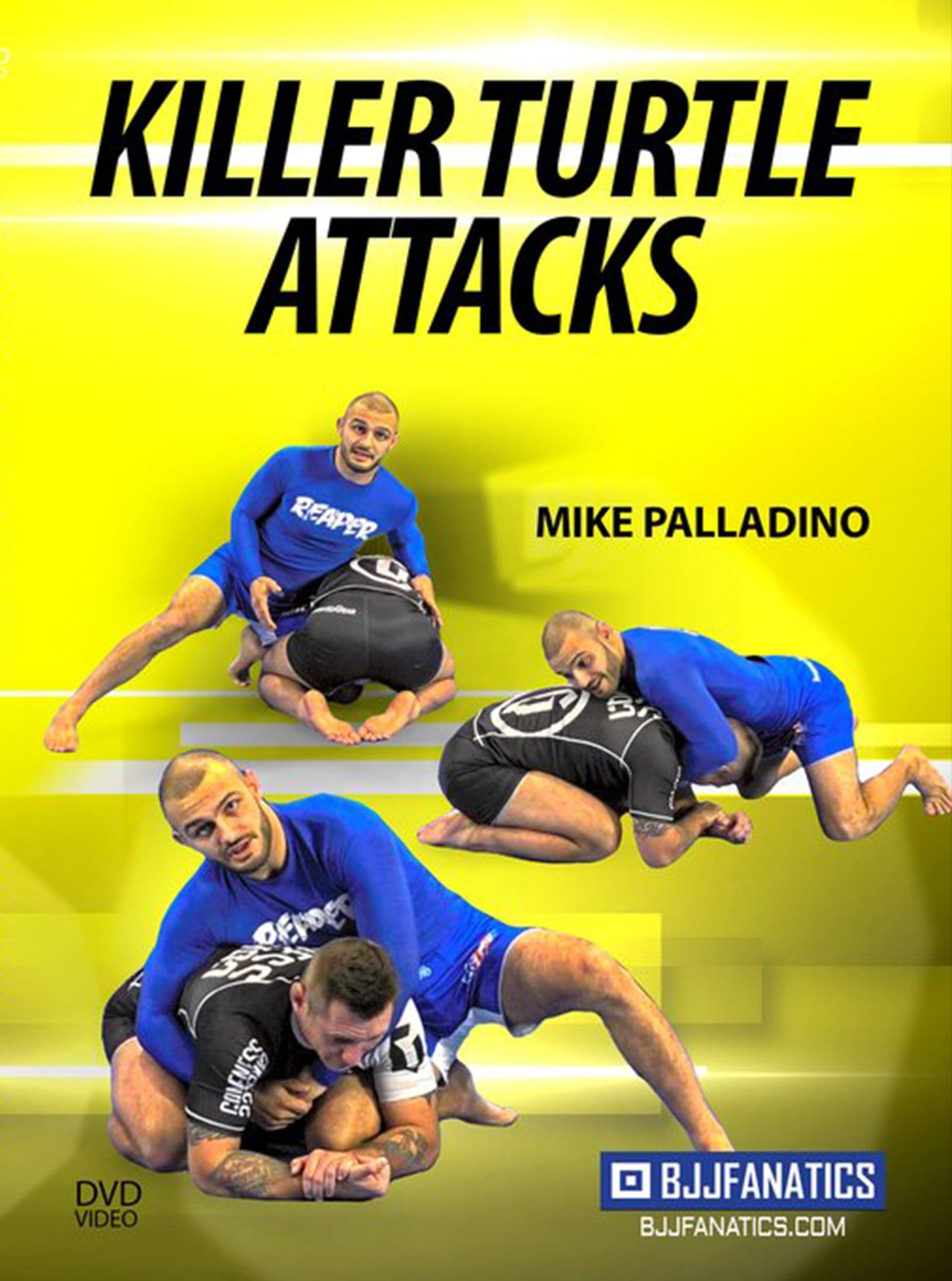 Killer Turtle Attacks by Mike Palladino