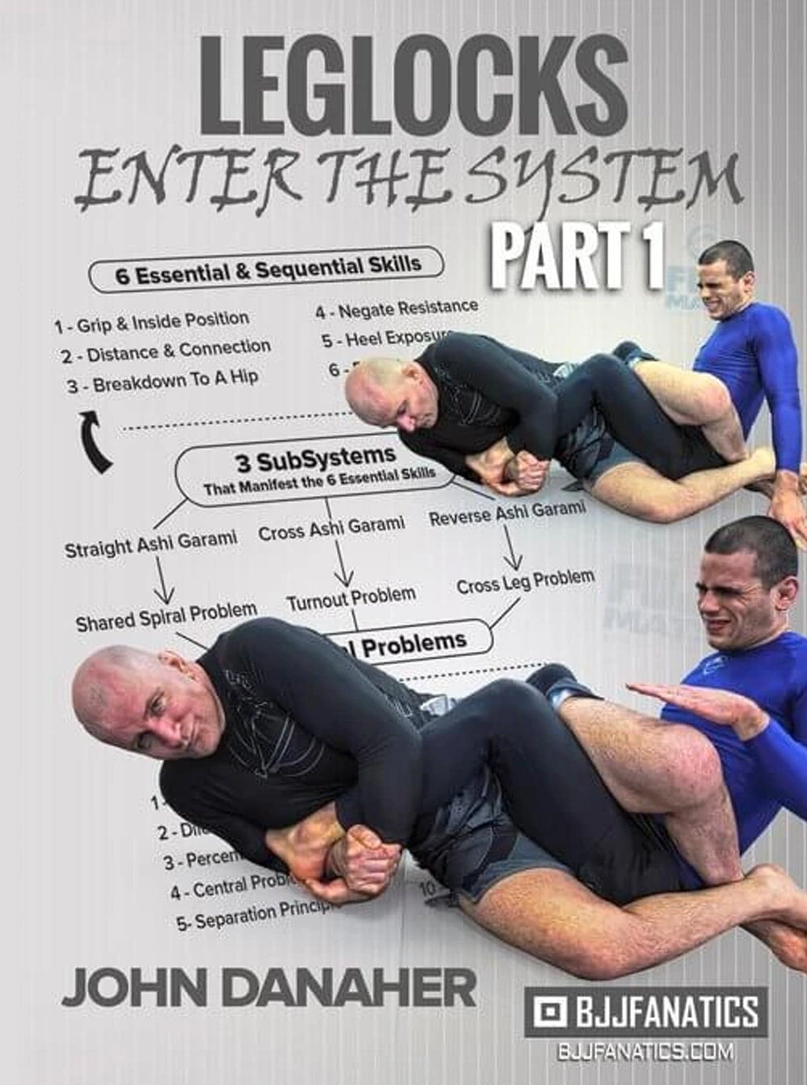 Leglocks: Enter The System by John Danaher