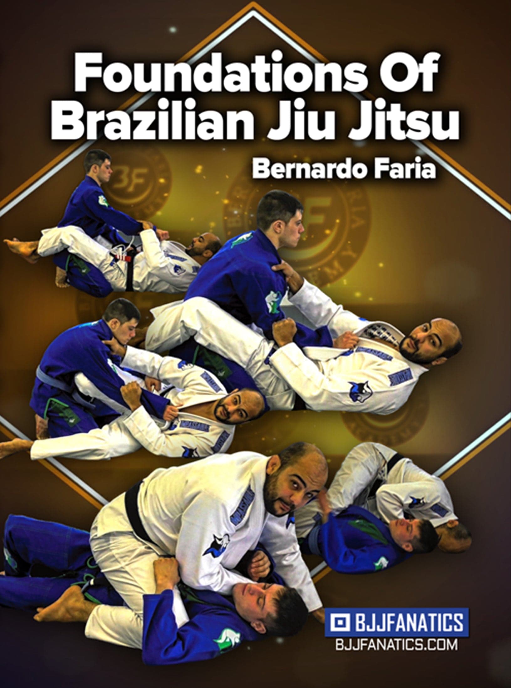 Foundations of Brazilian Jiu Jitsu by Bernardo Faria