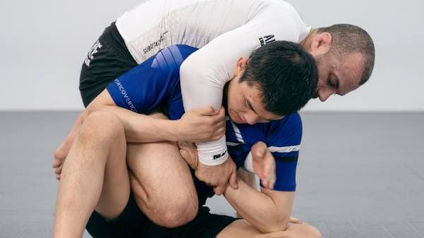 Back Takes: Seated Turtle