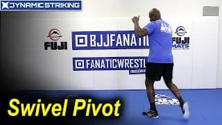 Swivel Pivot by Barry Robinson