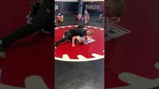 Claw/Shoulder Half Series 2