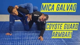 Mica Galvao | Half Guard Armbar