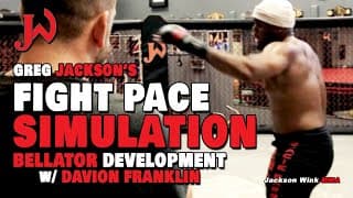 Greg Jackson's Fight Pace Simulation