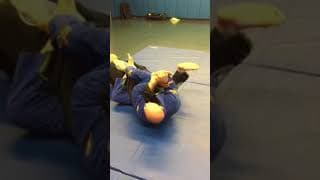 Jay Wadsworth BJJ Fanatics