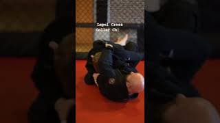 Two SNEAKY Collar Chokes: