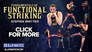 Stephen Whittier Functional Striking TRAILER