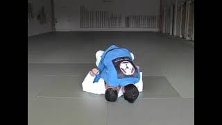 Roy Dean Blue Belt Requirements 1