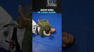 Moves you SHOULD have learned as a #whitebelt