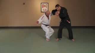 Brazilian Jiu Jitsu | Expressing the Technique | Brown Belt Requirements | ROYDEAN.TV