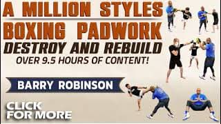 A Million Styles Boxing Pad Work by Barry Robinson