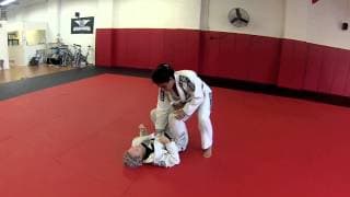 Hannette Staack:  X Pass