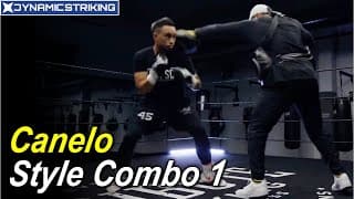 Canelo Style Combo 1 by Ray Sabur