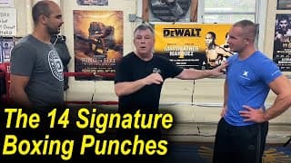 The 14 Signature Boxing Punches by Teddy Atlas