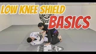 Low Knee Shield Basics