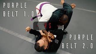 What's the Difference Between Purple Belt Requirements 1.0 and 2.0? | ROYDEAN