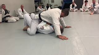 Pedro Sauer. Mount escape