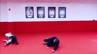 Ginastica Natural for Jiu Jitsu w Deborah Gracie and Master Alvaro Romano - Follow the Master