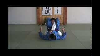 Brazilian Jiu Jitsu | Variations on the Triangle | Blue Belt Requirements | ROYDEAN.TV