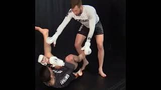 Elevating Single Leg by Reinier De Ridder