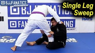 Single Leg Sweep by Thomas Rozdzynski